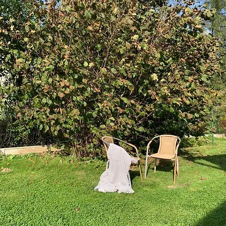 Chillout W Rychwaldzie