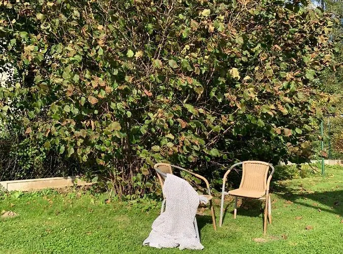 Chillout W Rychwaldzie